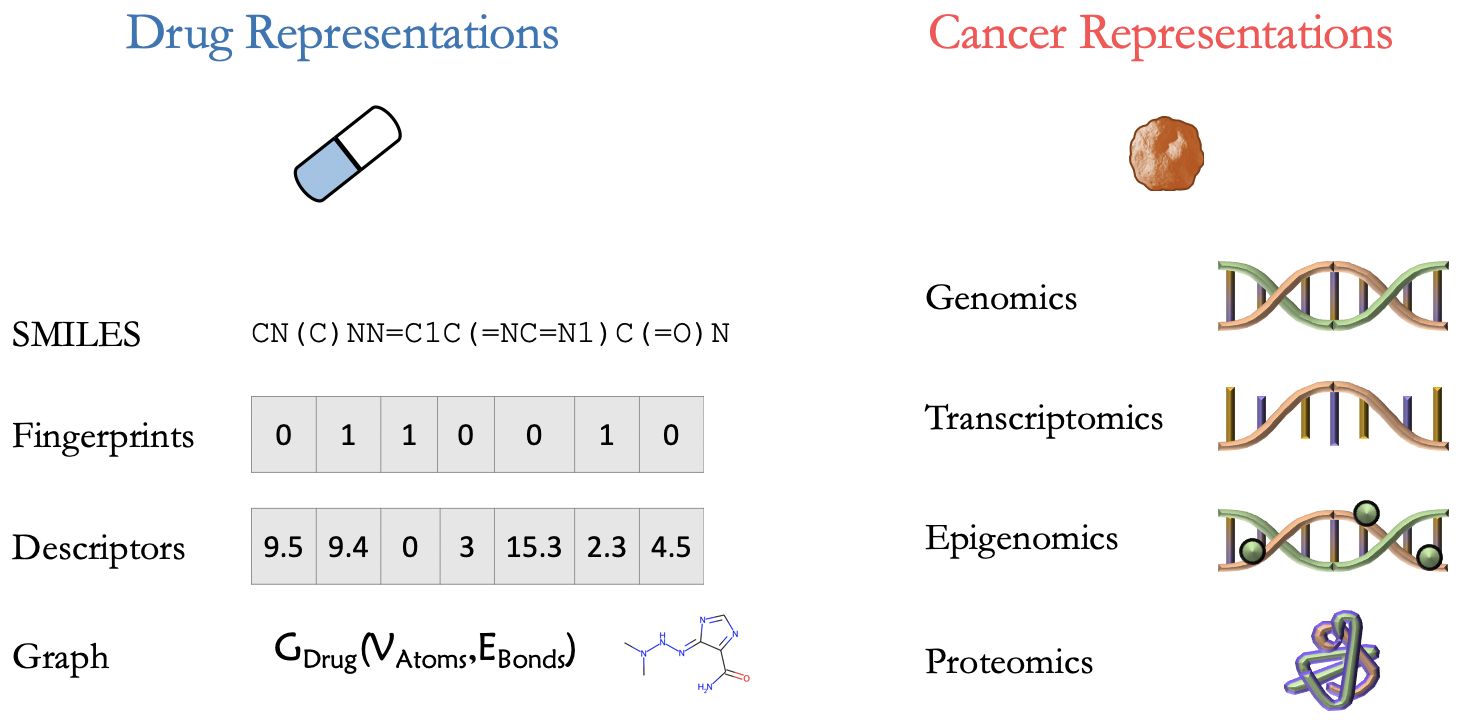 ../_images/Feature_representations.png